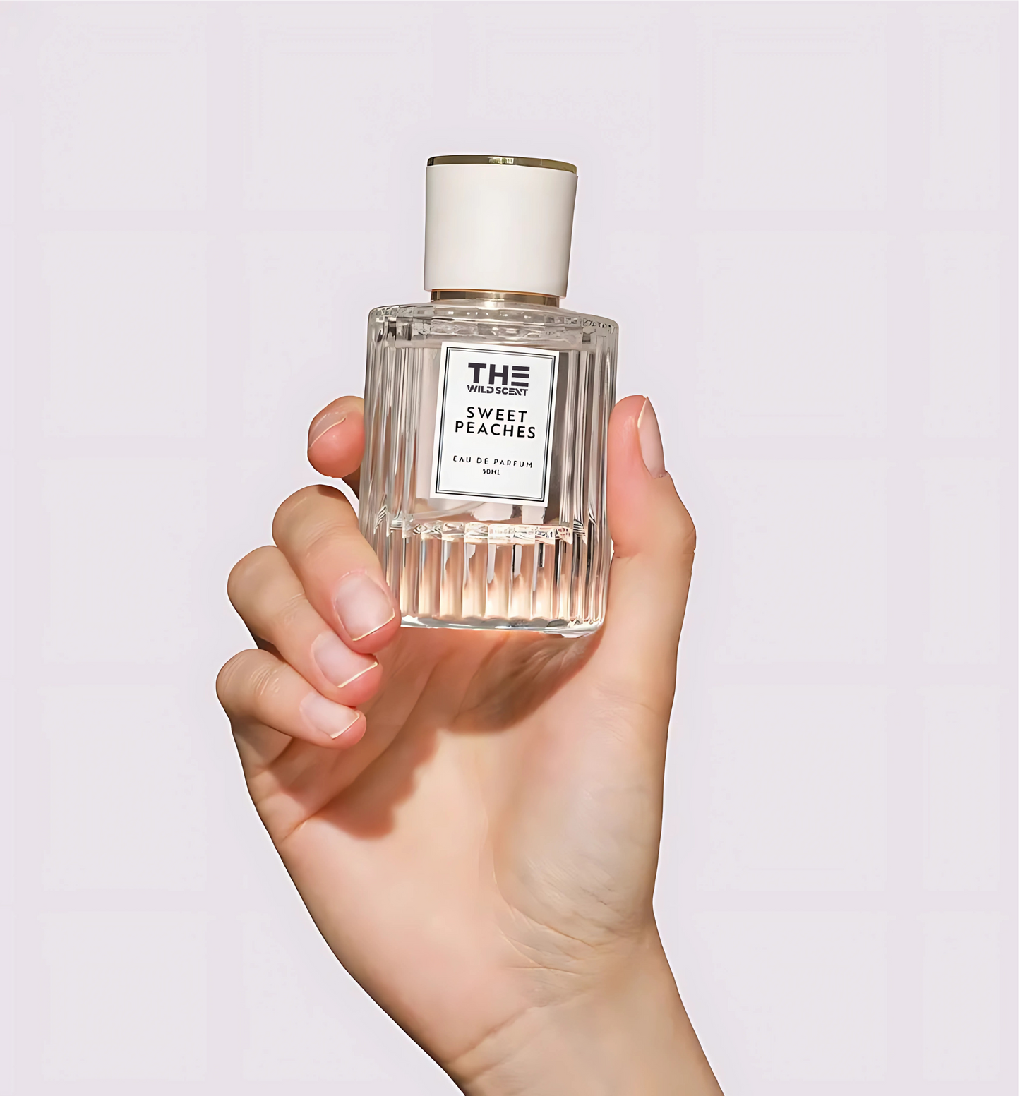 Pheromone Perfume Collection