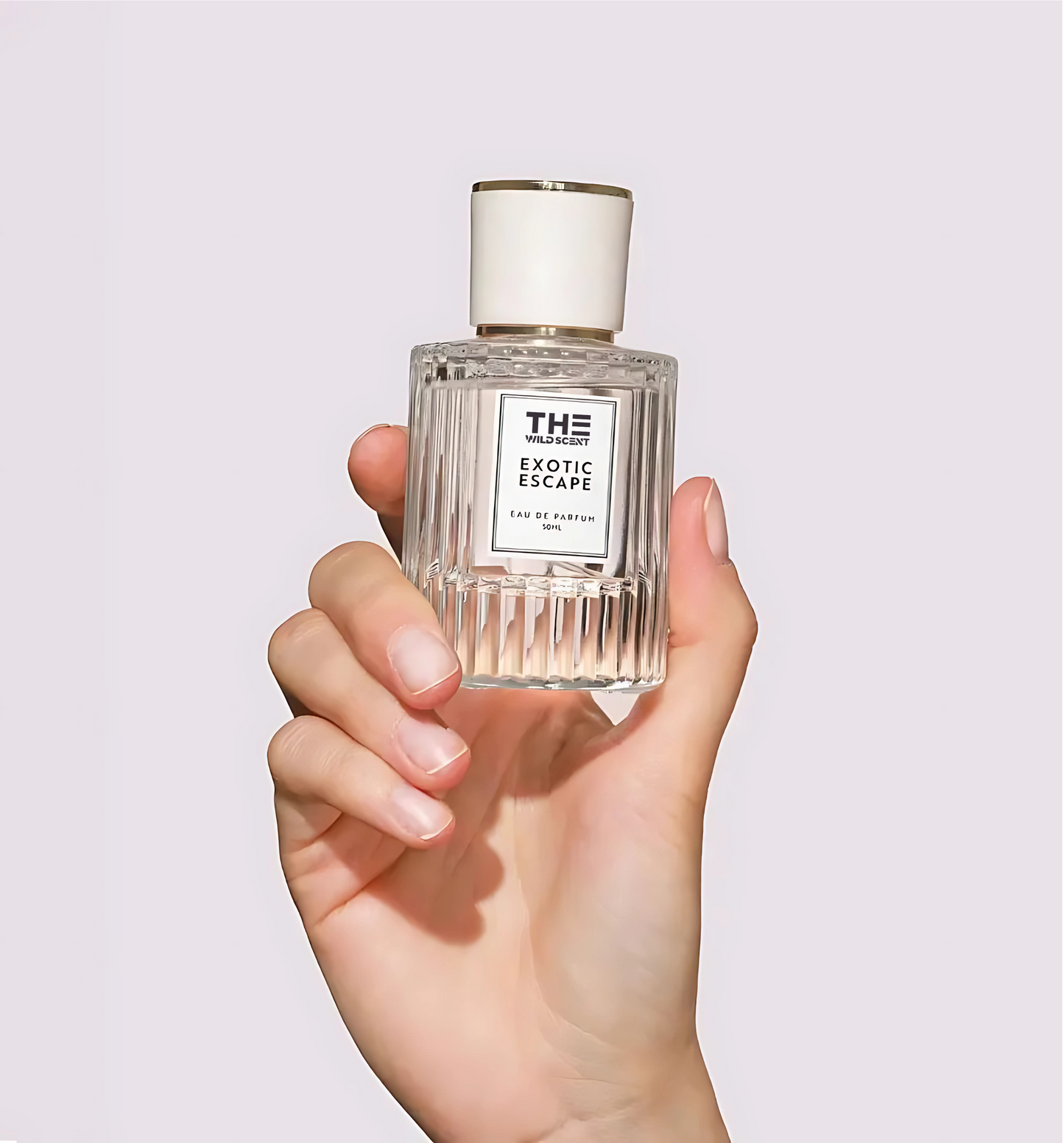 Pheromone Perfume Collection