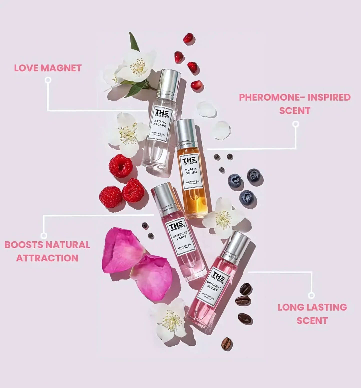 Midnight Charm Scent